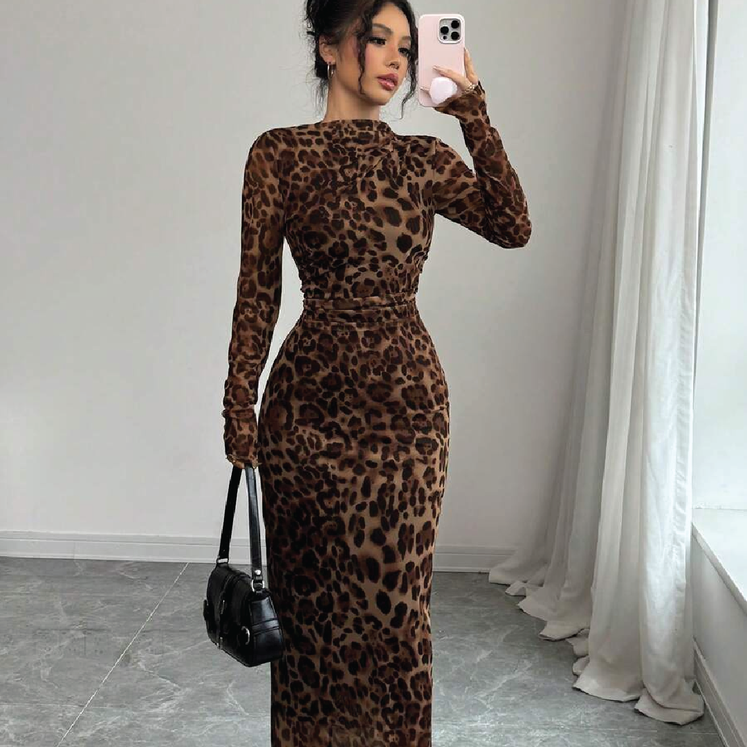 Leopard Print Mesh Bodycon Dress